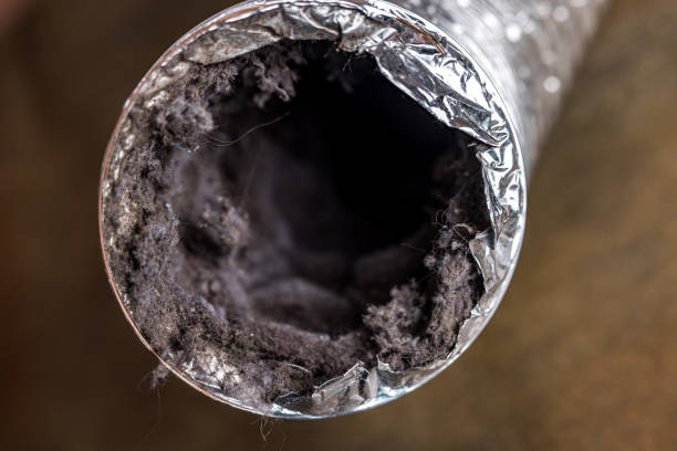 Best Emergency Air Duct Cleaning  in Logan, WV