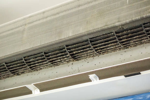 Best Air Duct Cleaning Near Me  in Logan, WV